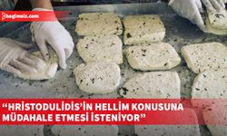 Hellim patenti aleyhine dava başvuruları konusunda Hristodulidis’ten yardım bekleniyor