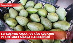 Tasarruflarında kaçak sigara ve avokado bulunan zanlılar tutuklandı