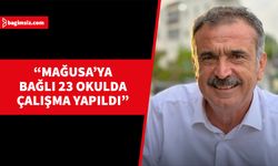 Uluçay, okullarda ot temizliği, ağaç ve çit budaması ile böcek ilaçlama çalışması yapıldığını söyledi