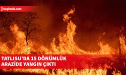 Yangın sonucu 15 dönümlük alan içerisindeki  kuru ot ve şinyalar ile 4 adet çam ağacı yandı