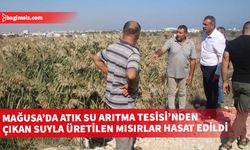 80 dönümlük alandan 750 ton silaj mısır ürünü alındı