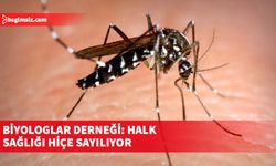 Biyologlar Derneği, Sağlık Bakanlığı'nın sivrisinek mücadelesi çalışmalarının “sorunu çözme noktasından oldukça uzak” olduğunu savundu