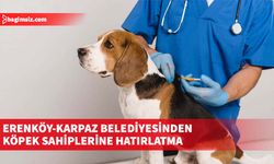 Köpeklerin kayıtlı ve çipli olması gerektiği konusunda uyarıda bulunuldu