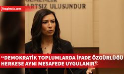 Özdenefe: Bazı hükümler modern hukuk devletlerinin gerisinde kaldı