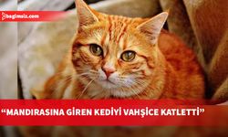 Vahşeti sosyal medya hesabından paylaştı…