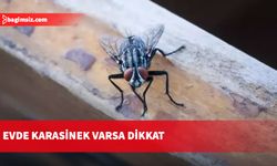 İşte kurtulmanın yöntemleri