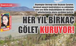 Her yıl birkaç gölet kuruyor!