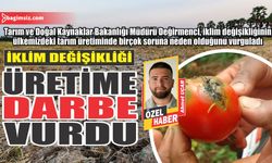 İklim değişikliği üretime darbe vurdu