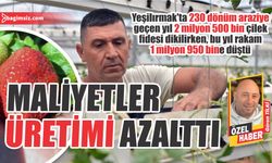 Maliyetler üretimi azalttı