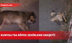 “Köpeği olan dikkat etsin”