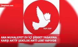 TDP, hükümet ve muhalefetin “Ev İçi Şiddet Yasası” yasa taslağı konusunda adım atmadığını savundu