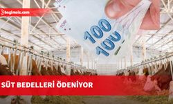 Süt bedelleri ödeniyor