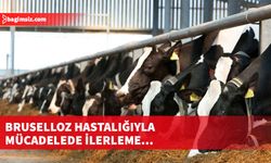 Tarım ve Doğal Kaynaklar Bakanlığı, hayvancılık sektörüne yönelik açıklama yaptı