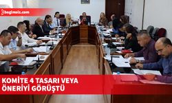 Cumhuriyet Meclisi, İdari, Kamu ve Sağlık İşleri Komitesi bugün  toplandı