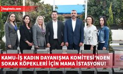 Kamu-İş Kadın Dayanışma Komitesi’nden Çatalköy-Esentepe Belediyesi’ne köpek mama istasyonu katkısı