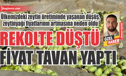 Zeytinyağının market fiyatı 150 TL’den 400 TL’ye çıktı