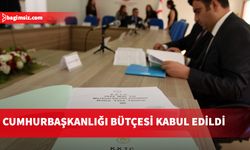 313 Milyonluk Cumhurbaşkanlığı Bütçesi Komitede oy çokluğuyla kabul edildi