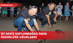 İki deniz kaplumbağası daha özgürlüğe uğurlandı