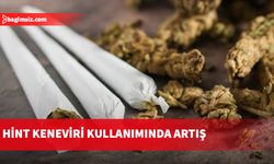 Güney’de hint keneviri kullanımında artış