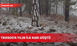 Trodos’a yılın ilk karı düştü