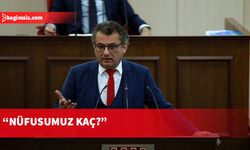 Erhürman: Ülkede kaç İranlı, Alman, Kazak var?