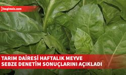 Tarım Dairesi haftalık meyve sebze denetim sonuçlarını açıkladı