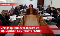 Meclis Hukuk, Siyasi İşler ve Dışilişkiler Komitesi toplandı