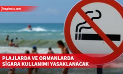 Plajlarda ve ormanlarda sigara kullanımı yasaklanacak