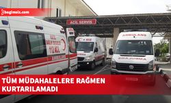 Tüm müdahalelere rağmen kurtarılamadı