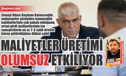 Maliyetler üretimi olumsuz etkiliyor