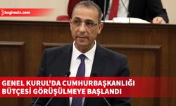 Genel Kurul'da Cumhurbaşkanlığı bütçesi görüşülmeye başlandı