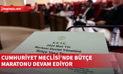 Milli Eğitim ve Kültür Bakanlığı bütçesi ele alınıyor