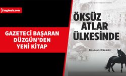 “Öksüz Atlar Ülkesinde” isimli kitap yayımlandı