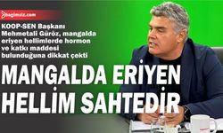 “Mangalda eriyen hellim sahtedir”