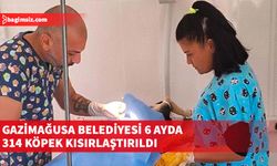 Sokak köpeklerinin sayısının azaltılması amaçlanıyor