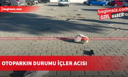 Her önüne gelen çöpünü otoparka atıyor