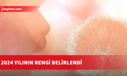 2024 yılının rengi belirlendi