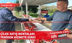 Yeşilırmak’ta çilek satış noktaları kuruldu