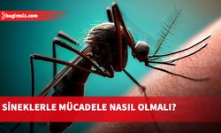 Sineklerle mücadele nasıl olmalı?