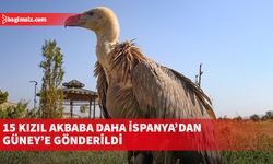 15 Kızıl Akbaba daha İspanya’dan Güney’e gönderildi