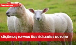 Veteriner Dairesi Müdürlüğünden küçükbaş hayvan üreticilerine duyuru