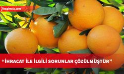 Narenciye ihracatında sorunlar giderildi