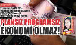 Plansız programsız ekonomi olmaz!