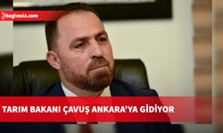 Çavuş resmi temaslarda bulunacak…