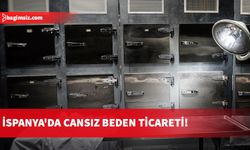 Ceset hırsızları yakalandı