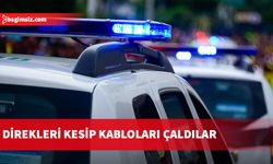 Rum Elektrik İdaresine ait direkleri kesip kabloları çaldılar