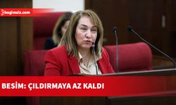 Besim: Çıldırmaya az kaldı