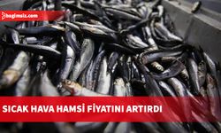 Türkiye’de sıcak hava hamsi fiyatını artırdı