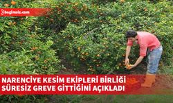 Narenciye Kesim Ekipleri Birliği süresiz greve gittiğini açıkladı