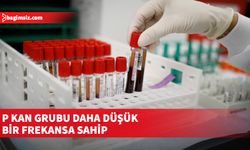 Çinli doktorlar nadir rastlanan P kan grubunun gizemini çözdü